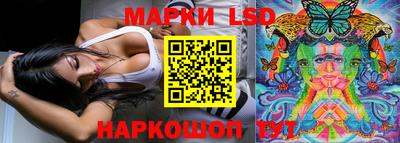 МДПВ Донецк